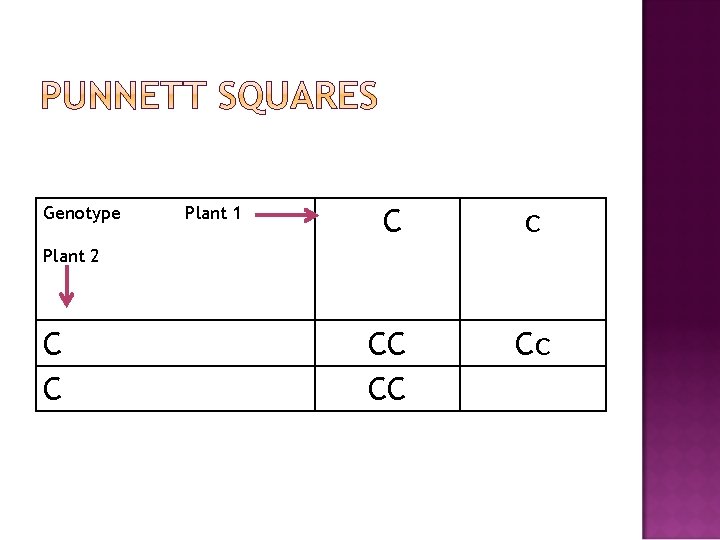 Genotype Plant 1 C c CC CC Cc Plant 2 C C 