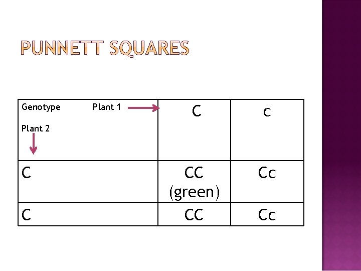 Genotype Plant 1 C c CC (green) CC Cc Plant 2 C C Cc