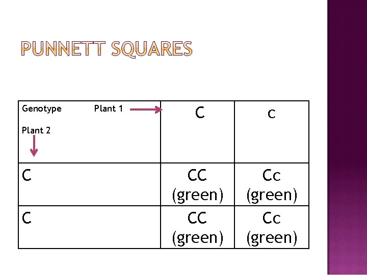 Genotype Plant 1 C c CC (green) Cc (green) Plant 2 C C 