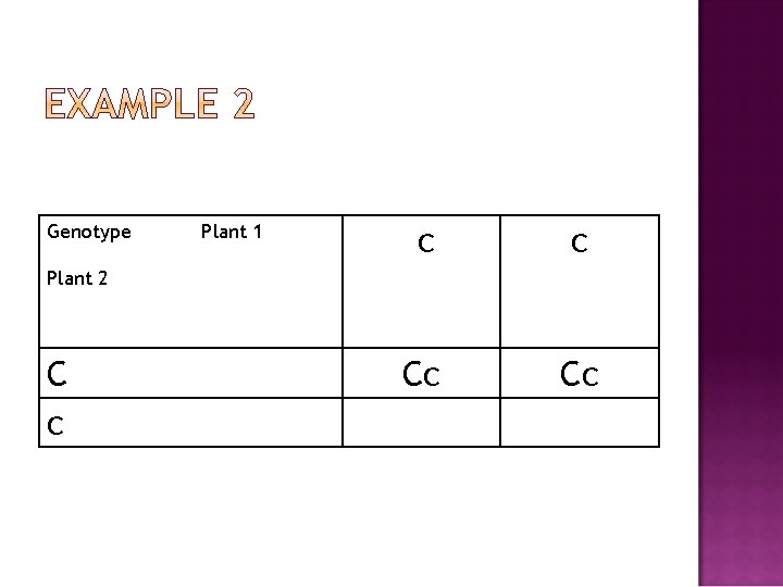 Genotype Plant 1 c c Cc Cc Plant 2 C c 