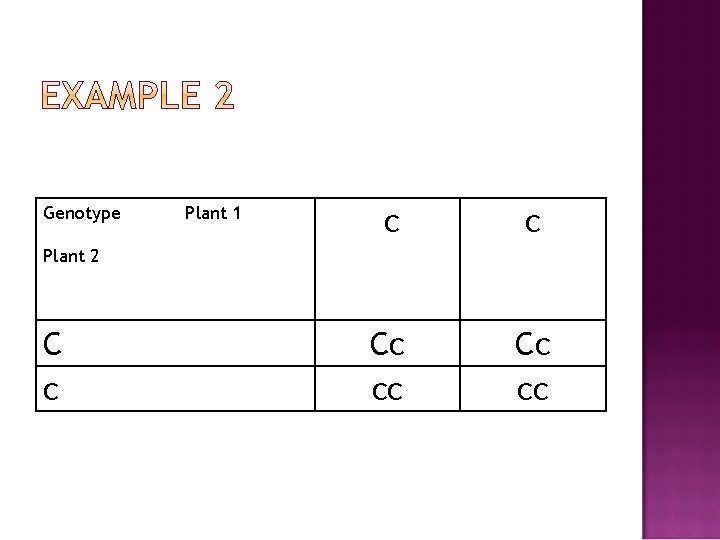 Genotype Plant 1 c c Cc cc Plant 2 C c 