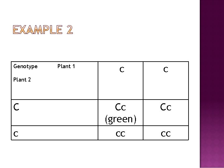 Genotype Plant 1 c c Cc (green) cc Cc Plant 2 C c cc