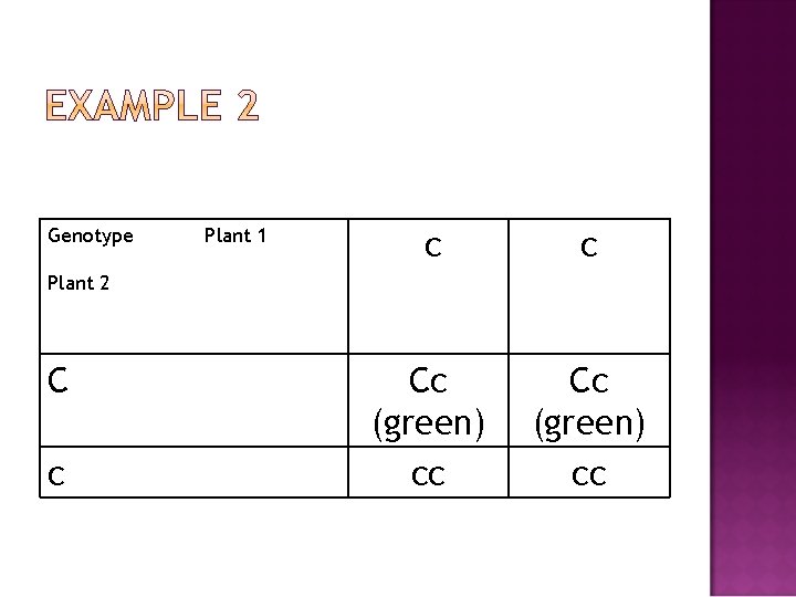 Genotype Plant 1 c c Cc (green) cc Plant 2 C c 