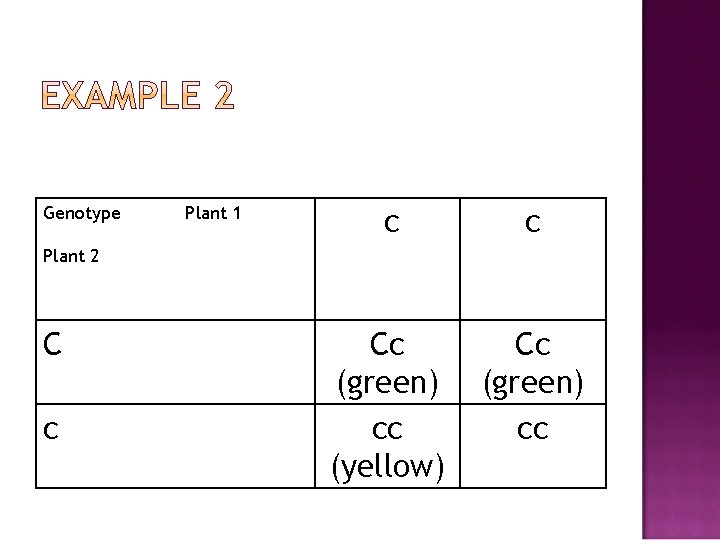 Genotype Plant 1 c c Cc (green) cc (yellow) Cc (green) cc Plant 2