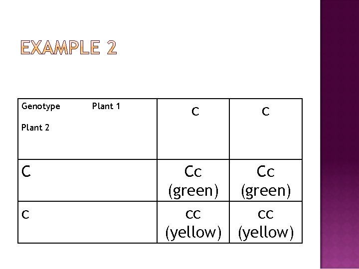 Genotype Plant 1 c c Plant 2 C c Cc Cc (green) cc cc