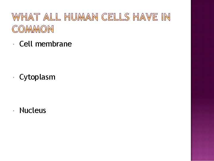  Cell membrane Cytoplasm Nucleus 