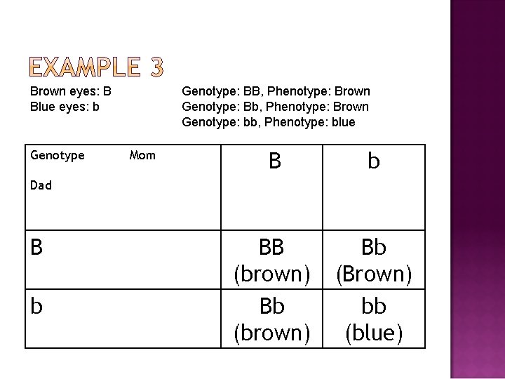 Brown eyes: B Blue eyes: b Genotype: BB, Phenotype: Brown Genotype: Bb, Phenotype: Brown