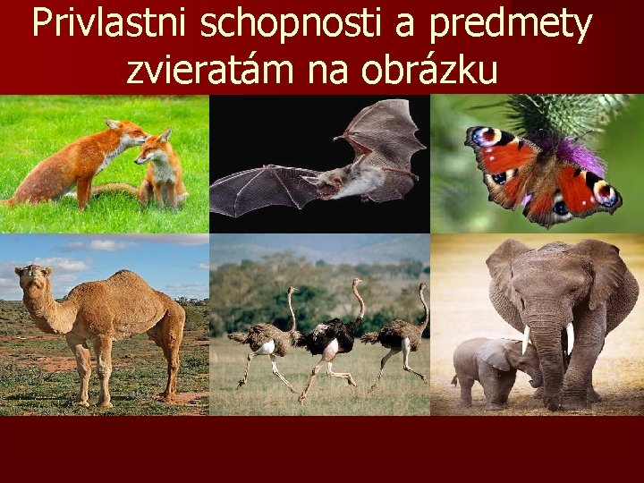 Privlastni schopnosti a predmety zvieratám na obrázku 