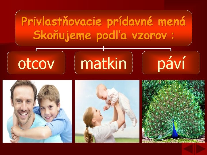 Privlastňovacie prídavné mená Skoňujeme podľa vzorov : otcov matkin páví 