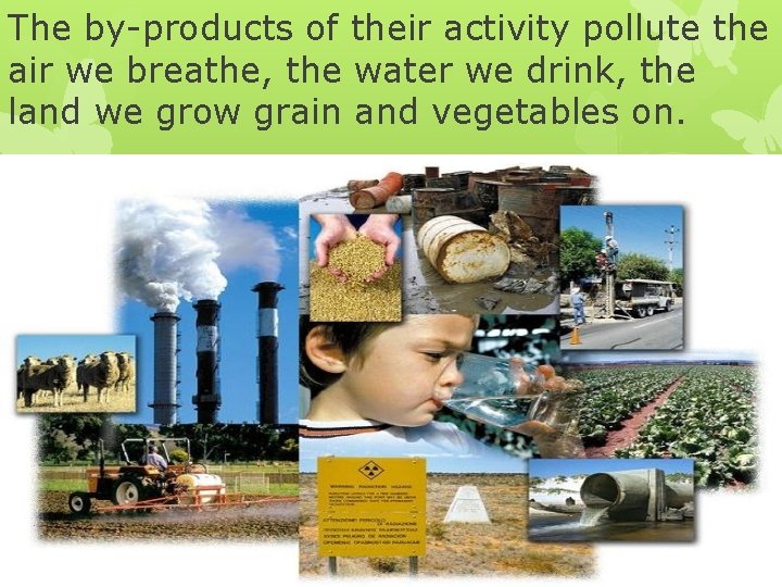 The by-products of their activity pollute the air we breathe, the water we drink,