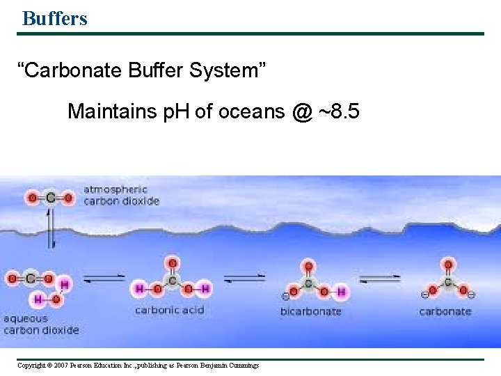 Buffers “Carbonate Buffer System” Maintains p. H of oceans @ ~8. 5 Copyright ©