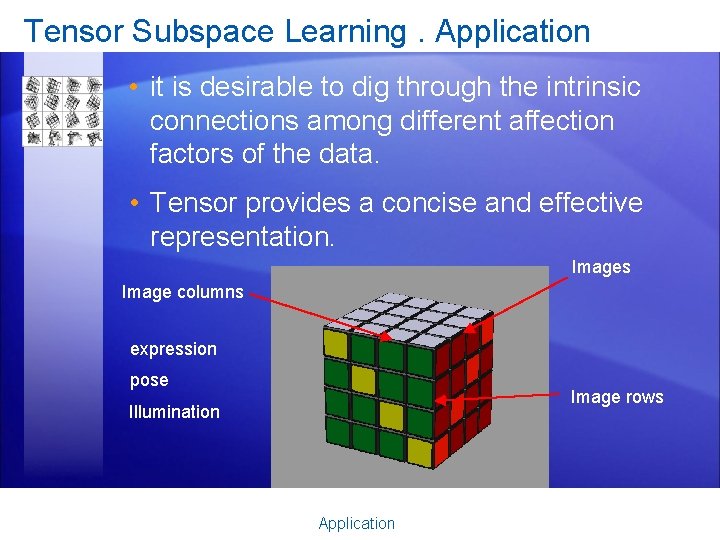 Tensor Subspace Learning. Application • it is desirable to dig through the intrinsic connections