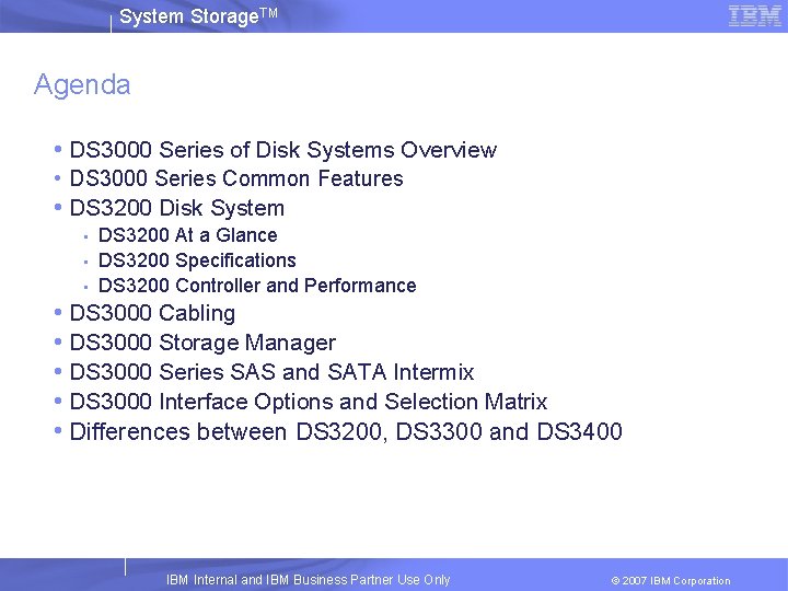 System Storage. TM Agenda • DS 3000 Series of Disk Systems Overview • DS