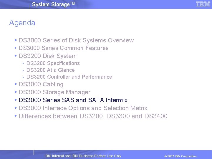 System Storage. TM Agenda • DS 3000 Series of Disk Systems Overview • DS