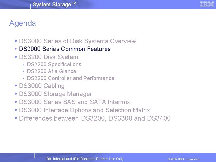 System Storage. TM Agenda • DS 3000 Series of Disk Systems Overview • DS