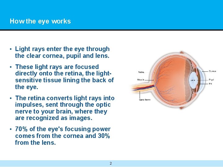 How the eye works • Light rays enter the eye through the clear cornea,