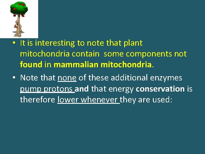  • It is interesting to note that plant mitochondria contain some components not