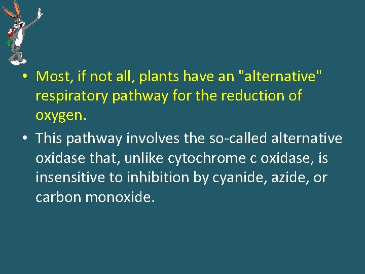 • Most, if not all, plants have an "alternative" respiratory pathway for the