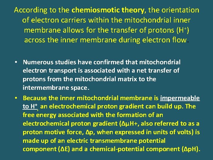According to the chemiosmotic theory, the orientation of electron carriers within the mitochondrial inner