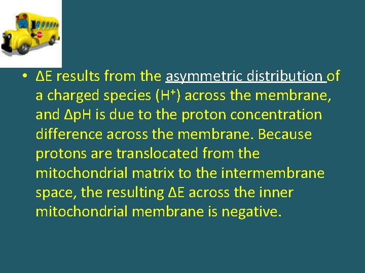  • ΔE results from the asymmetric distribution of a charged species (H+) across