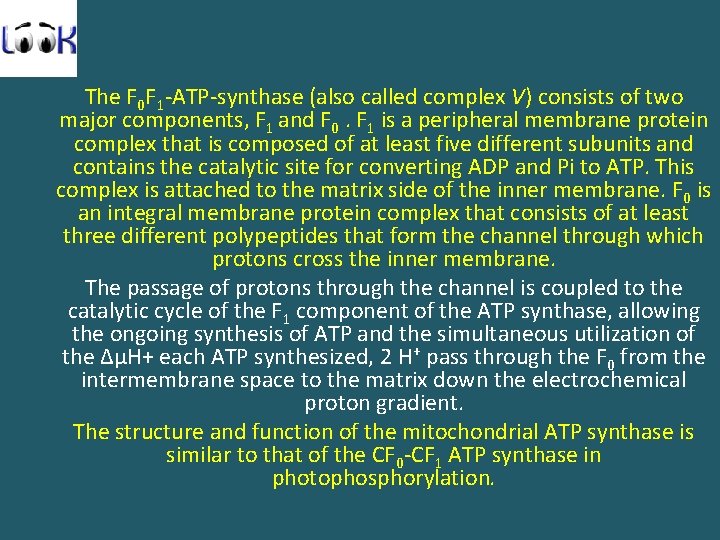 The F 0 F 1 -ATP-synthase (also called complex V) consists of two major