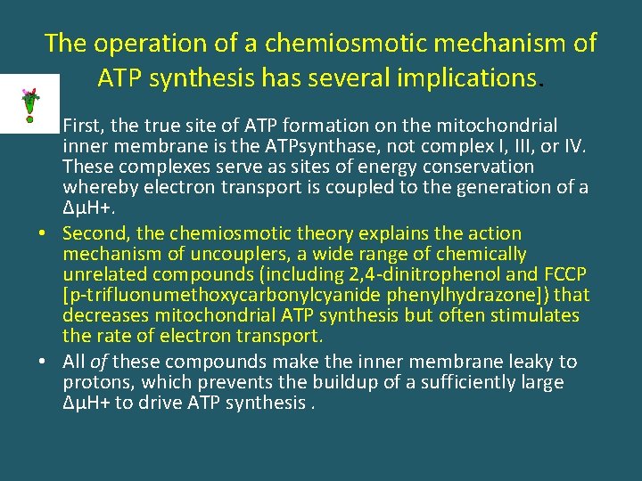 The operation of a chemiosmotic mechanism of ATP synthesis has several implications. • First,