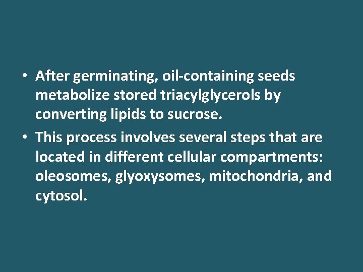  • After germinating, oil-containing seeds metabolize stored triacylglycerols by converting lipids to sucrose.