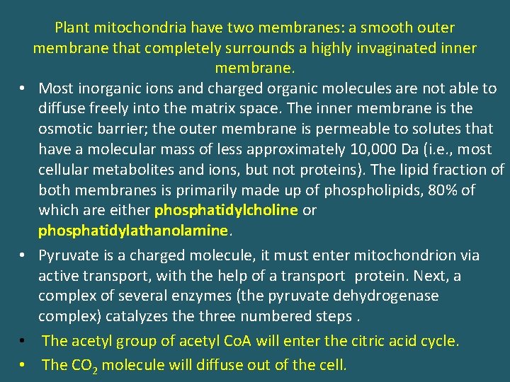  • • Plant mitochondria have two membranes: a smooth outer membrane that completely
