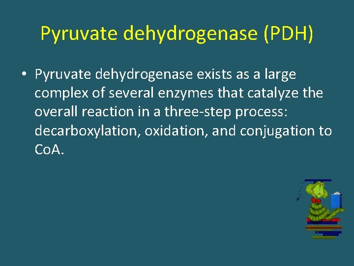 Pyruvate dehydrogenase (PDH) • Pyruvate dehydrogenase exists as a large complex of several enzymes