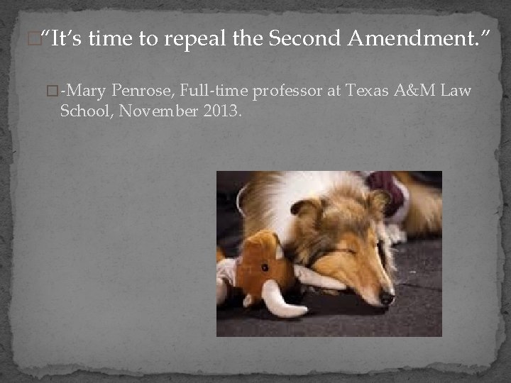 �“It’s time to repeal the Second Amendment. ” � -Mary Penrose, Full-time professor at