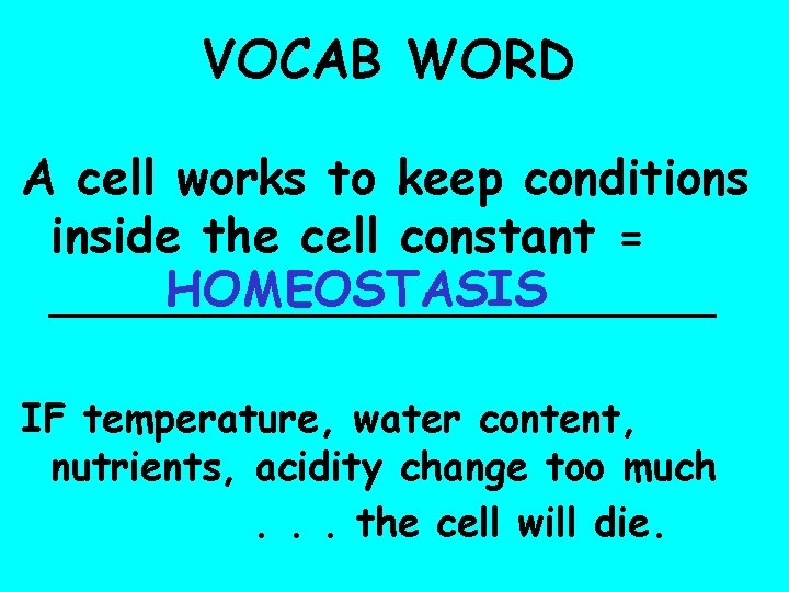 VOCAB WORD A cell works to keep conditions inside the cell constant = HOMEOSTASIS