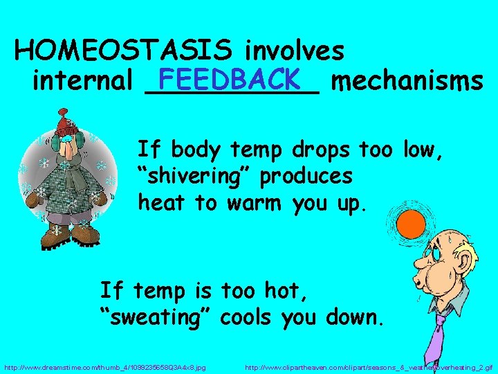 HOMEOSTASIS involves FEEDBACK mechanisms internal _____ If body temp drops too low, “shivering” produces