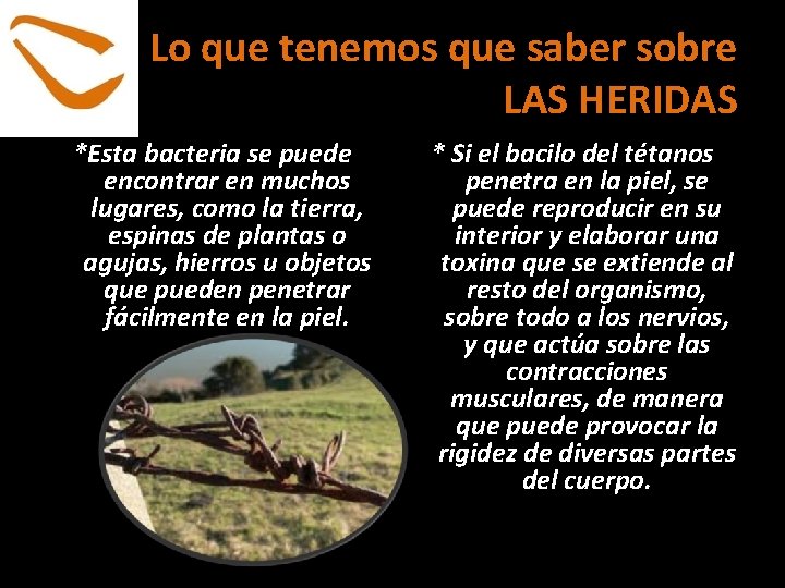 Lo que tenemos que saber sobre LAS HERIDAS *Esta bacteria se puede encontrar en