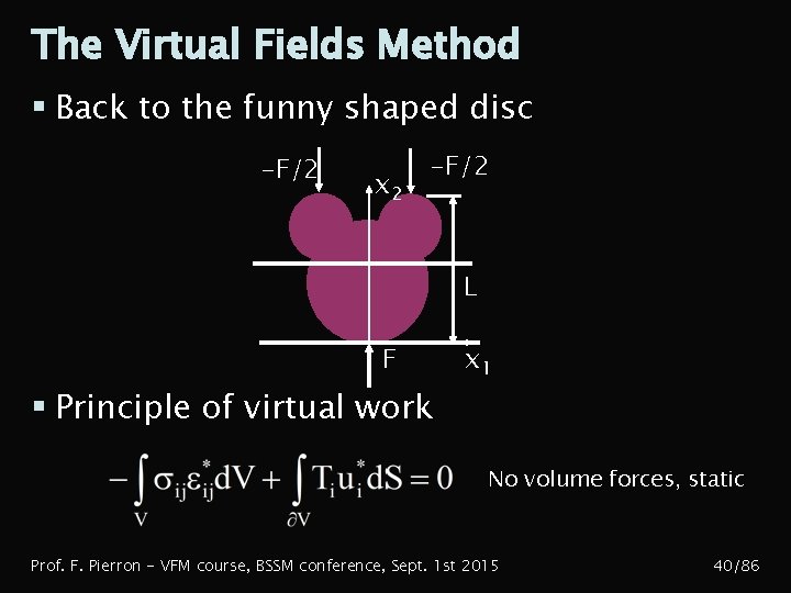 The Virtual Fields Method § Back to the funny shaped disc -F/2 x 2
