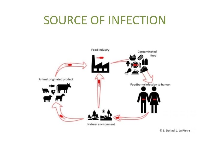 SOURCE OF INFECTION 