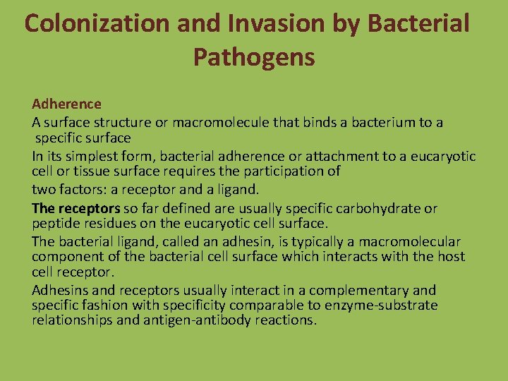Colonization and Invasion by Bacterial Pathogens Adherence A surface structure or macromolecule that binds