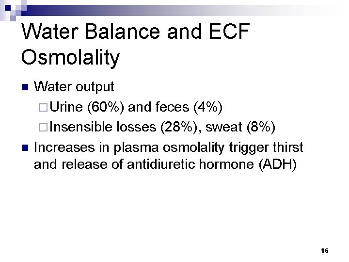 Water Balance and ECF Osmolality n n Water output ¨ Urine (60%) and feces