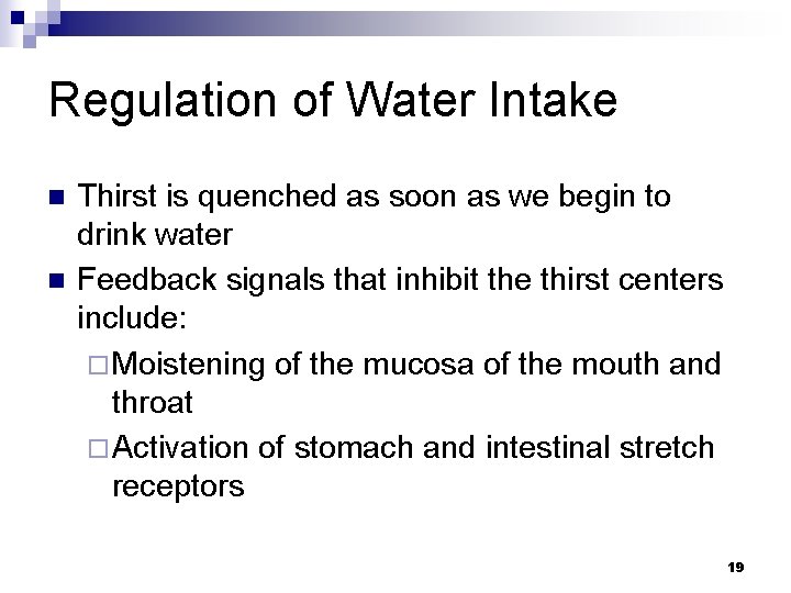 Regulation of Water Intake n n Thirst is quenched as soon as we begin