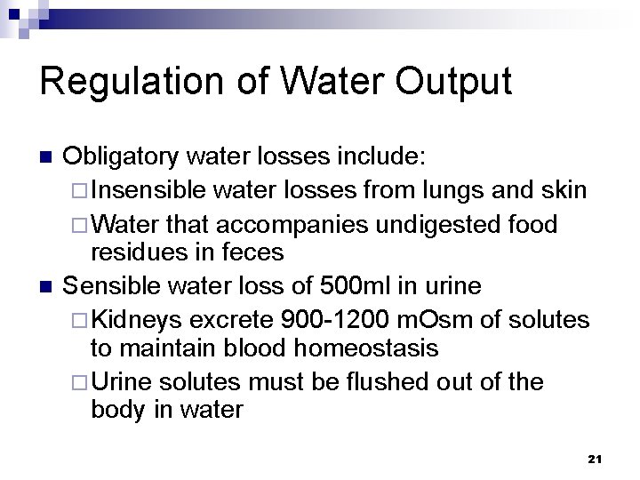 Regulation of Water Output n n Obligatory water losses include: ¨ Insensible water losses