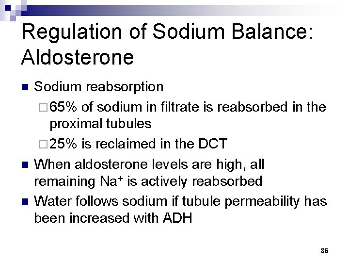 Regulation of Sodium Balance: Aldosterone n n n Sodium reabsorption ¨ 65% of sodium