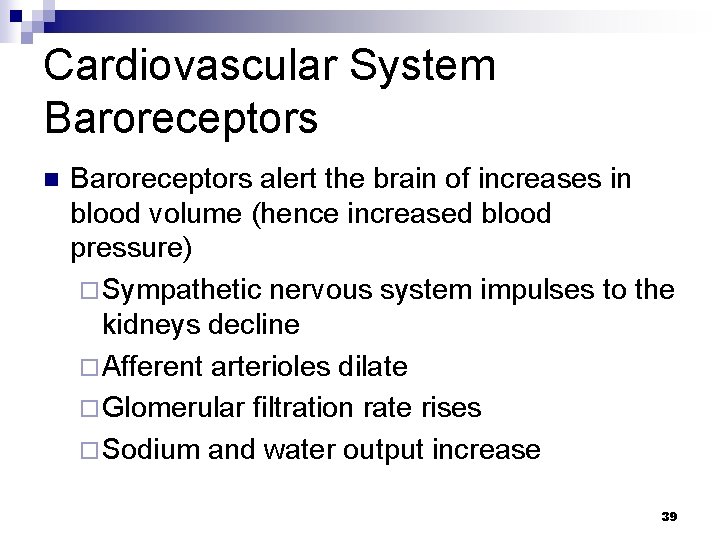 Cardiovascular System Baroreceptors n Baroreceptors alert the brain of increases in blood volume (hence