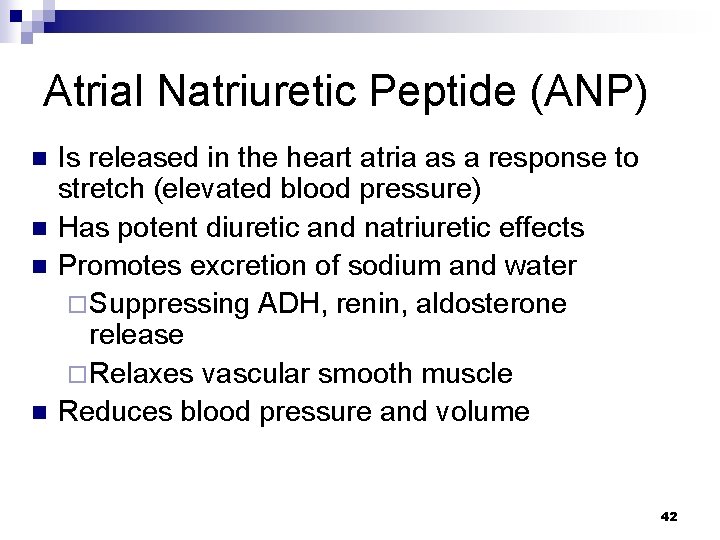 Atrial Natriuretic Peptide (ANP) n n Is released in the heart atria as a