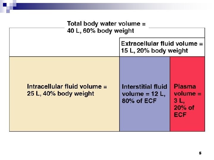 Fluid Compartments 5 