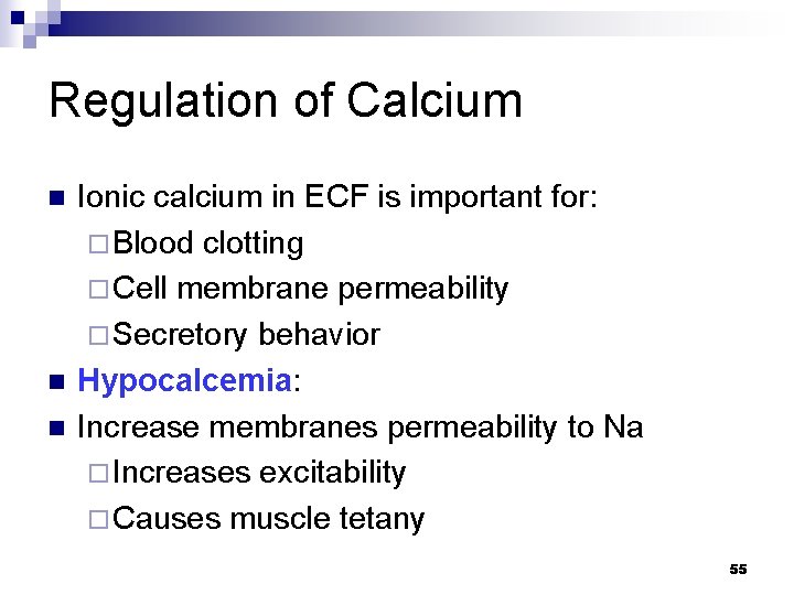 Regulation of Calcium n n n Ionic calcium in ECF is important for: ¨