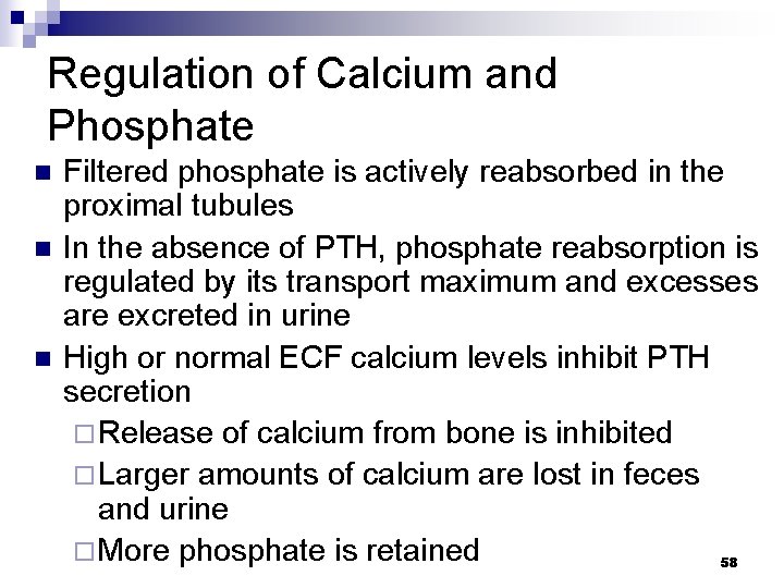 Regulation of Calcium and Phosphate n n n Filtered phosphate is actively reabsorbed in