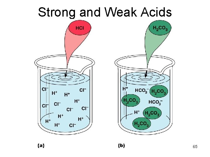 Strong and Weak Acids 65 