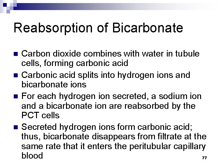 Reabsorption of Bicarbonate n n Carbon dioxide combines with water in tubule cells, forming