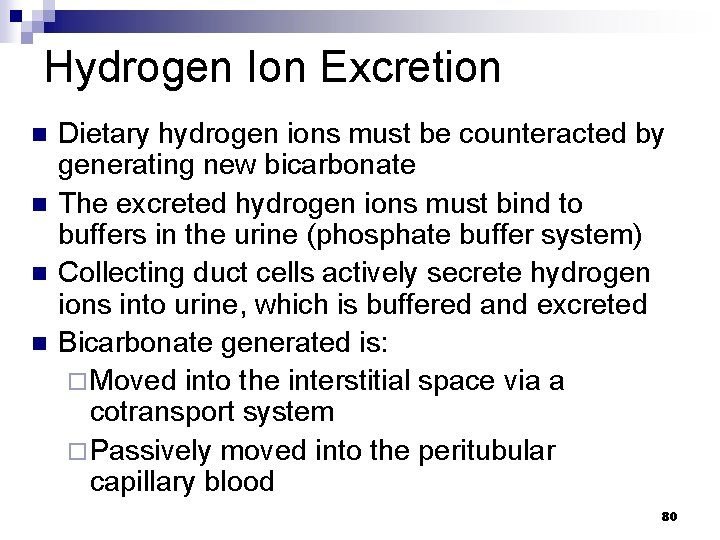 Hydrogen Ion Excretion n n Dietary hydrogen ions must be counteracted by generating new
