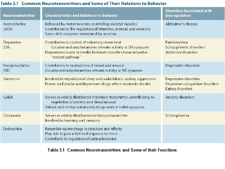 Table 3. 1 Common Neurotransmitters and Some of their Functions 