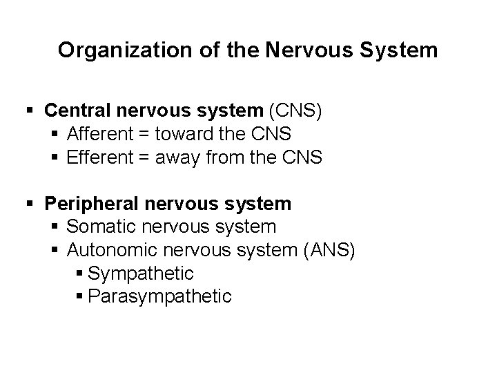 Organization of the Nervous System § Central nervous system (CNS) § Afferent = toward